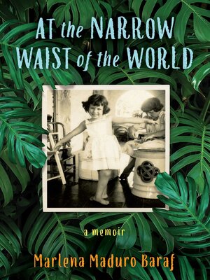 cover image of At the Narrow Waist of the World